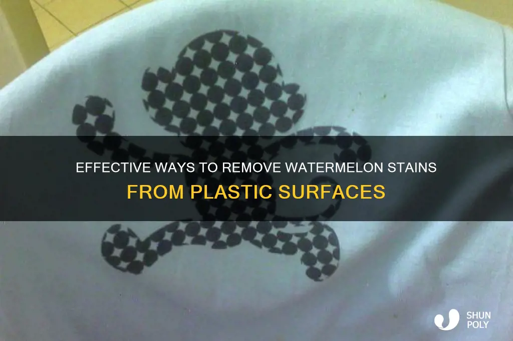 how to get rid watermellon stain from plastic