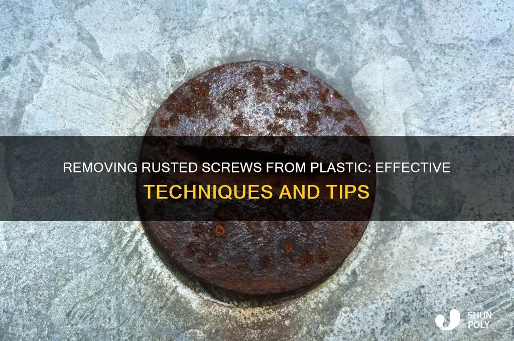 how to get rusted screws out of plastic