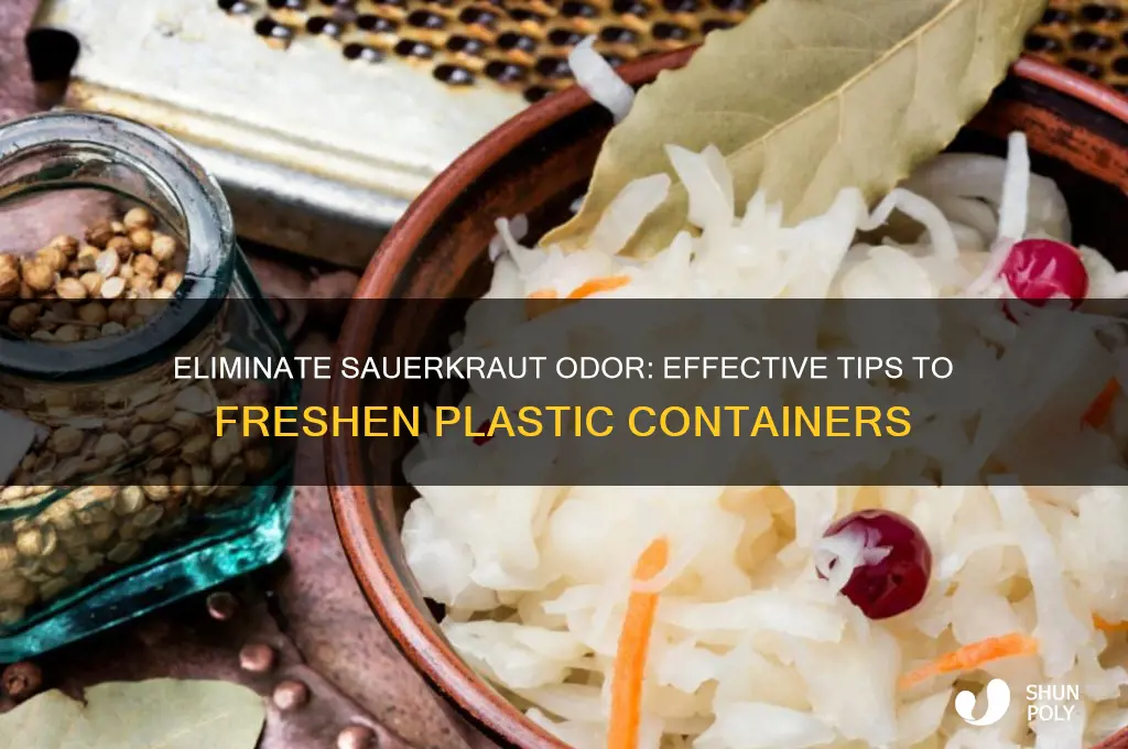 how to get sauerkraut smell out of plastic
