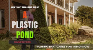 Effective Methods to Remove Saw Grass from Your Plastic Pond