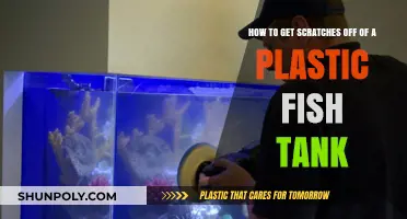 Effective Ways to Remove Scratches from Your Plastic Fish Tank