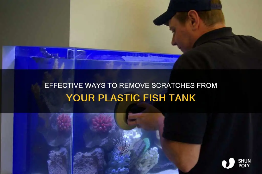how to get scratches off of a plastic fish tank
