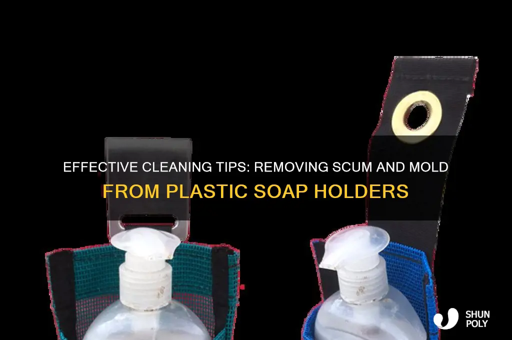how to get scum and mold off plastic soap holder