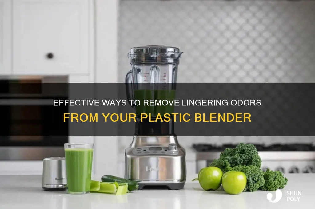 how to get smell out of plastic blender