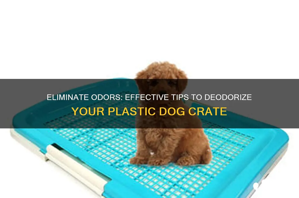 how to get smell out of plastic dog crate