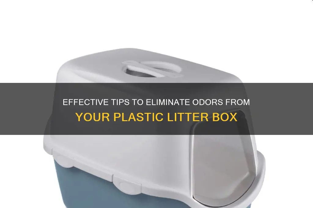 how to get smell out of plastic litter box