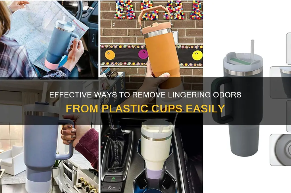 how to get smells out of plastic cups