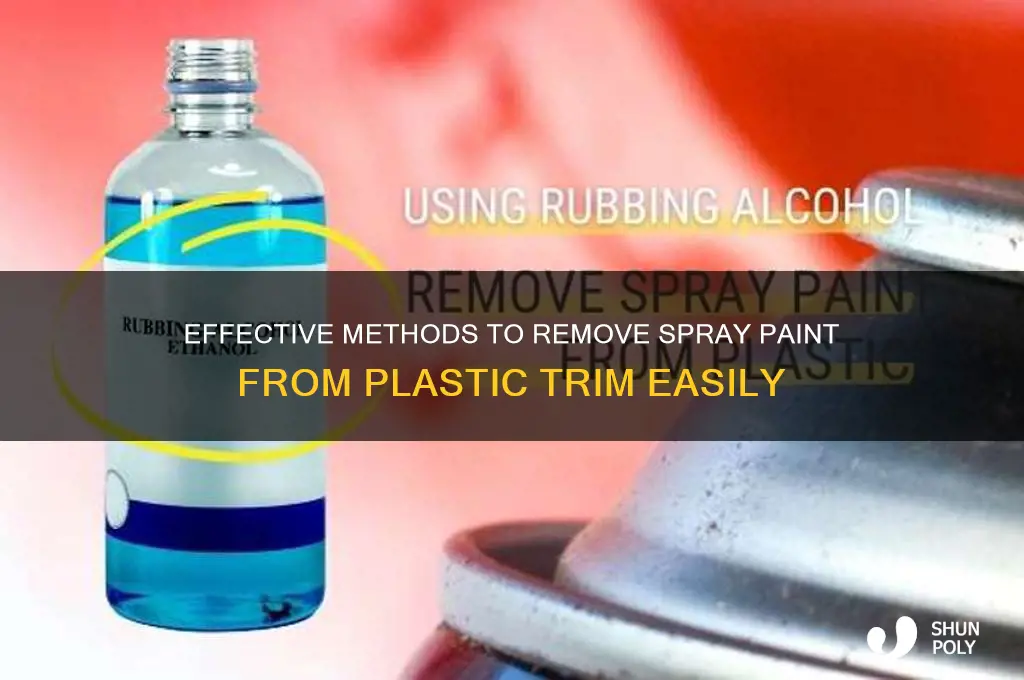 how to get spray paint off plastic trim