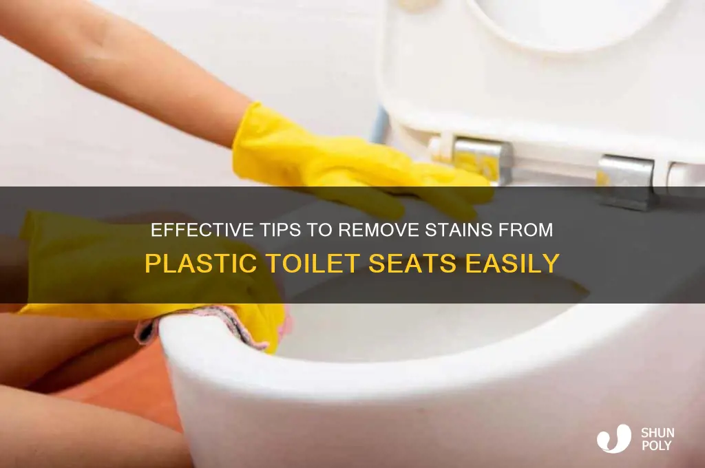 how to get stains off a plastic toilet seat