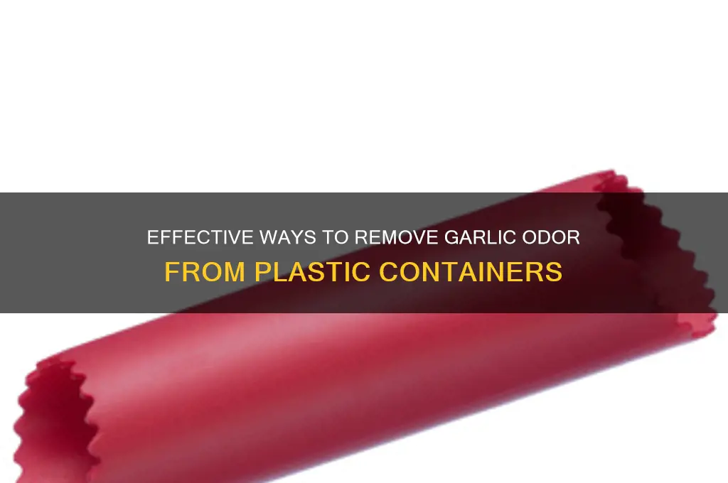 how to get the garlic smell out of plastic