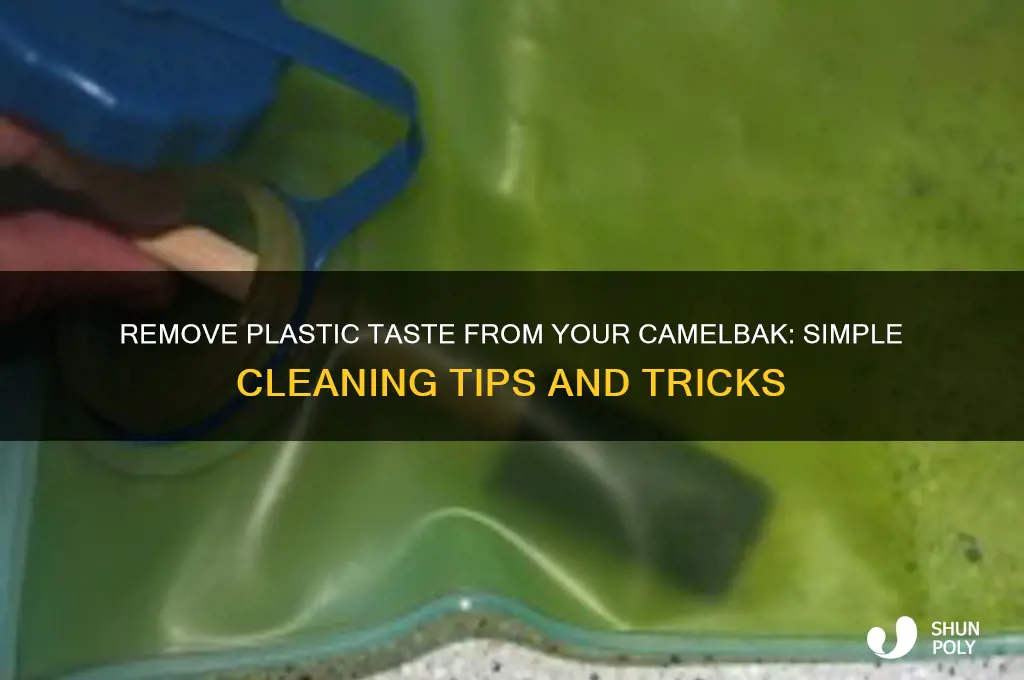 how to get the plastic taste out of a camelbak