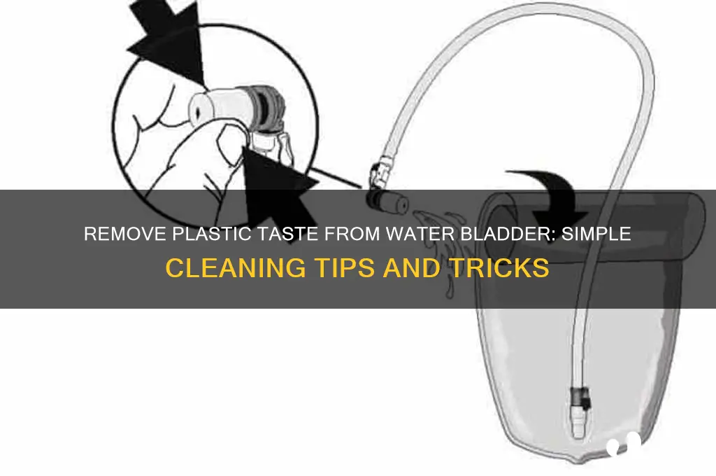 how to get the plastic taste out of water bladder