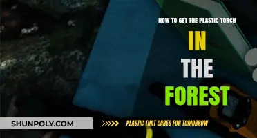 Finding the Plastic Torch in The Forest: A Survival Guide