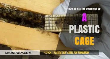 Freeing the Queen: A Step-by-Step Guide to Plastic Cage Release