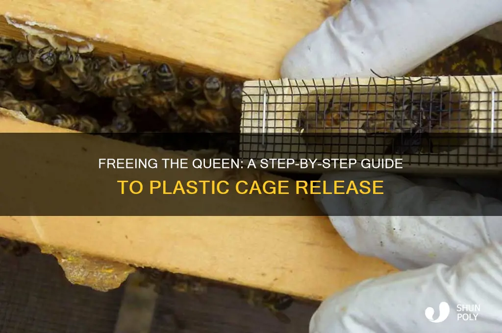 how to get the queen out of a plastic cage