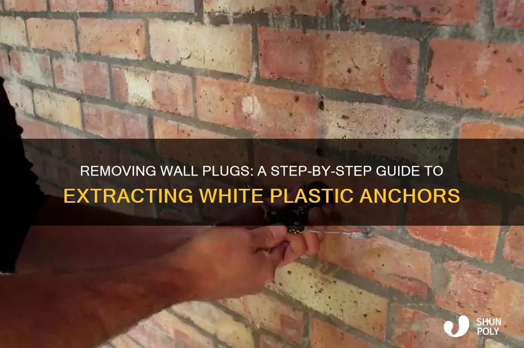 how to get the white plastic plugs in the wall