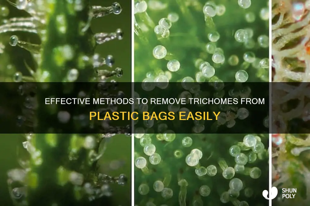 how to get trichomes off of plastic bag