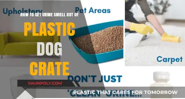 Effective Tips to Eliminate Urine Smell from Plastic Dog Crates