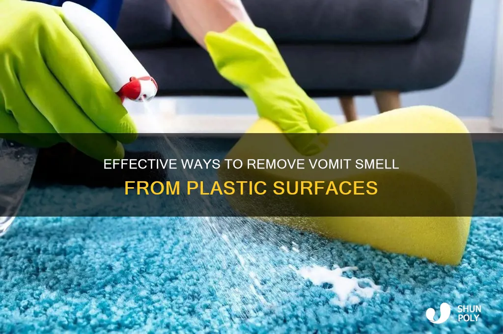 how to get vomit smell off of plastic