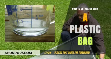 Survive and Thrive: Collecting Water Using a Plastic Bag