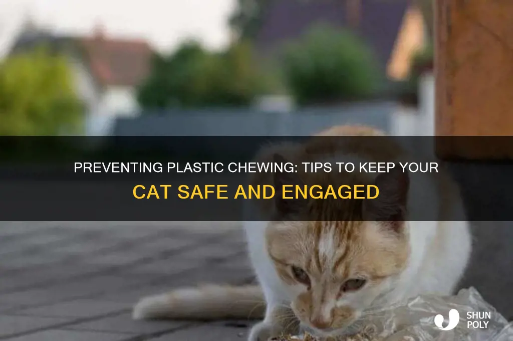 how to get your cat to stop chewing on plastic