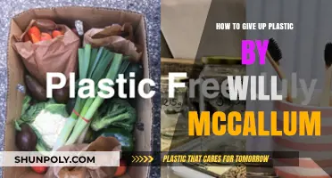 Ditching Plastic: A Practical Guide to a Greener Lifestyle