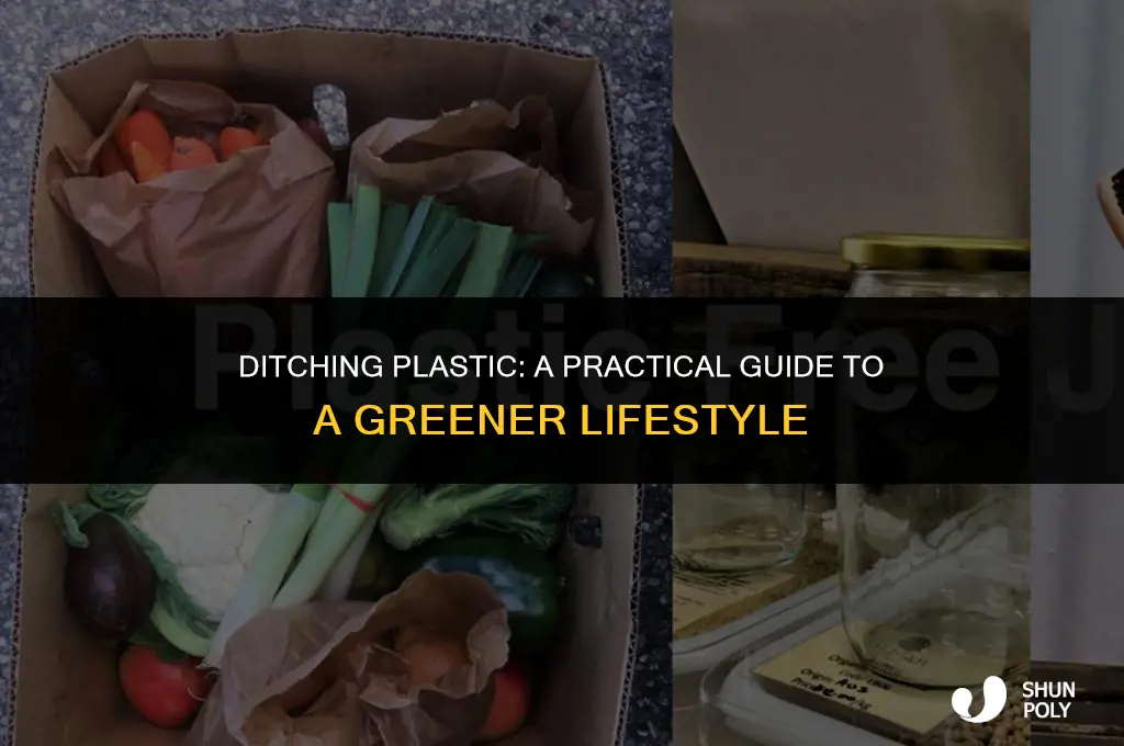how to give up plastic by will mccallum