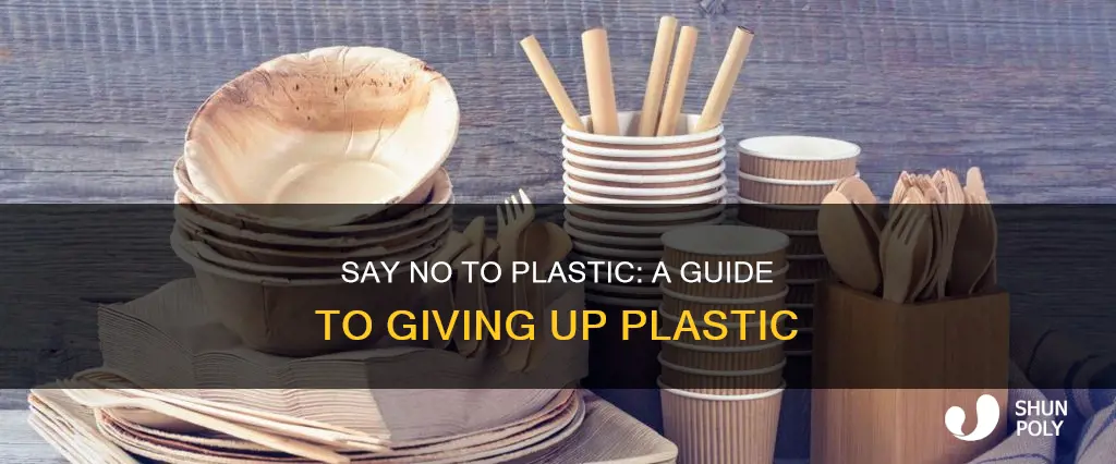 how to give up plastic goodreads