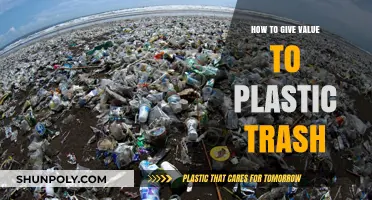 Transforming Plastic Trash: Giving Value to Waste