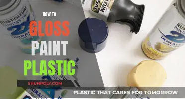 Glossing Plastic: The Art of Painting with Shine
