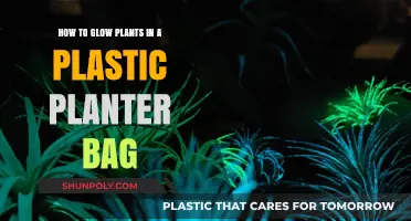 Glowing Garden Secrets: Illuminating Plants in Plastic Planter Bags