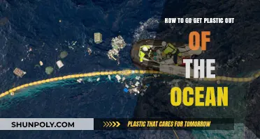 Innovative Solutions to Remove Ocean Plastic and Save Marine Life
