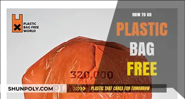 Ditch Plastic Bags: Simple Steps to an Eco-Friendly Lifestyle
