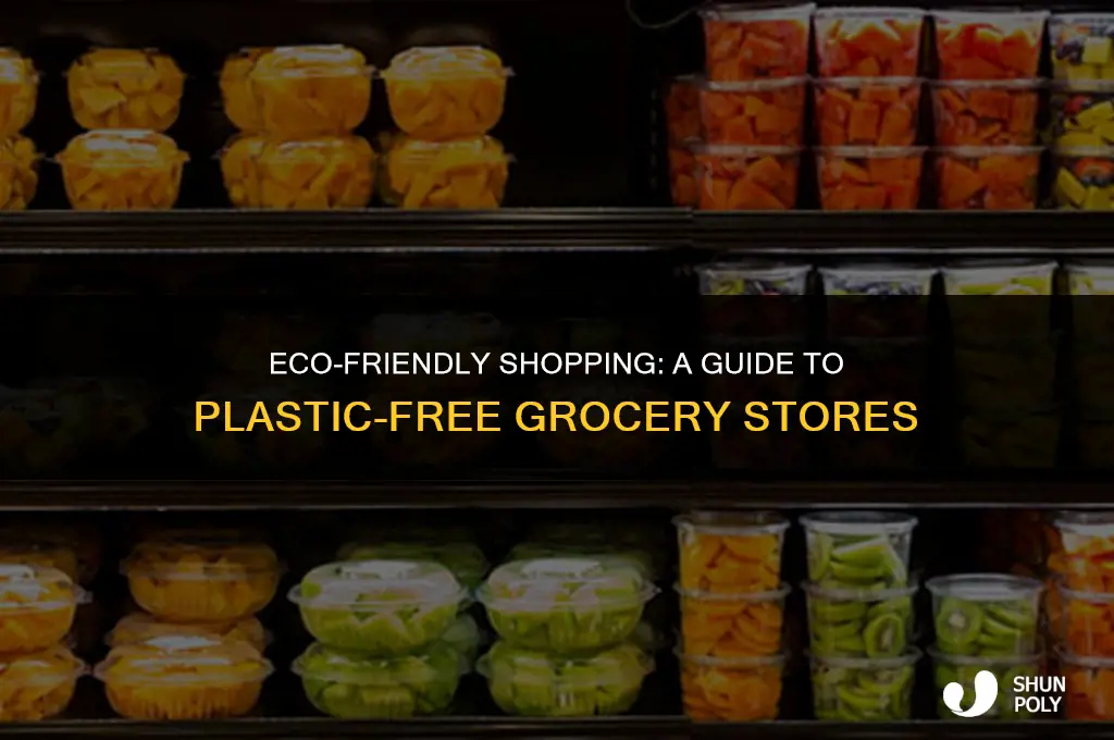 how to go plastic free at grocery store