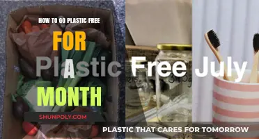 Sustainable Living: A Month-Long Journey to Plastic Freedom