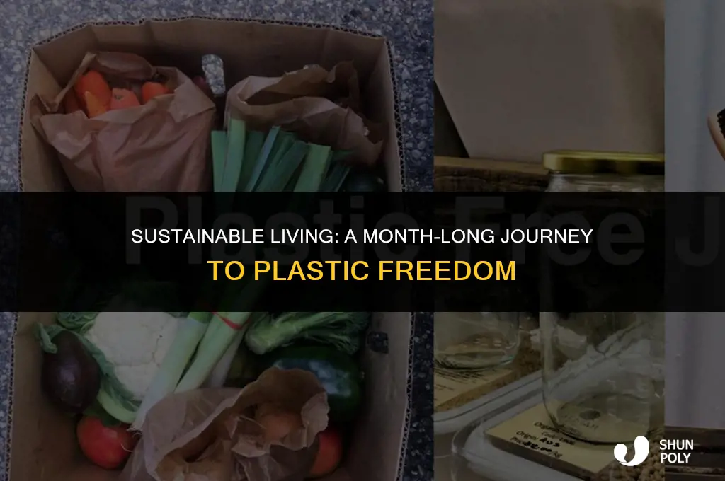 how to go plastic free for a month