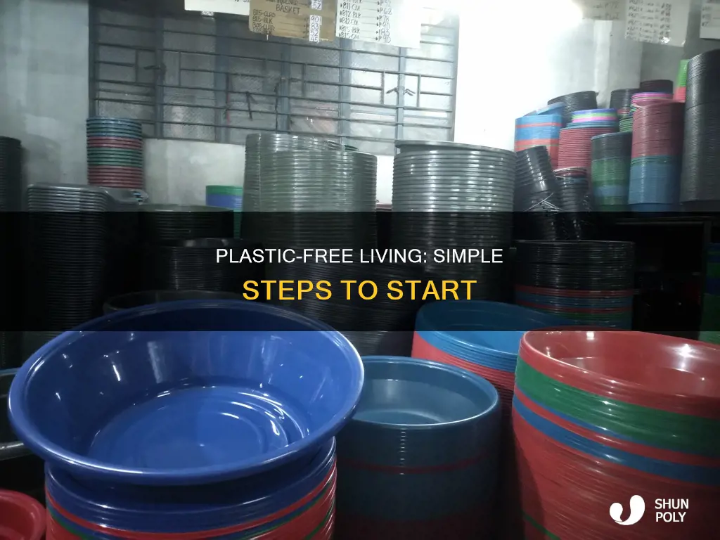 how to go to bmjb plastic