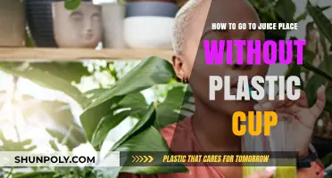 Sustainable Sipping: How to Enjoy Juice Without Plastic Cups