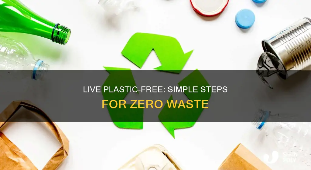 how to go zero plastic waste