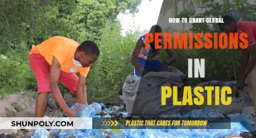 Granting Global Permissions in Plastic: A Step-by-Step Guide