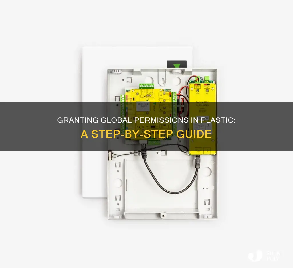 how to grant global permissions in plastic