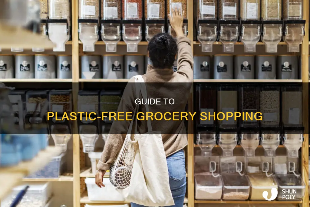 how to grocery shop plastic free