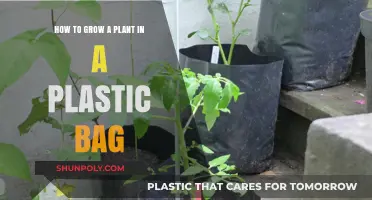 Easy Plastic Bag Gardening: Grow Plants in Confined Spaces