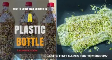 Easy DIY: Growing Bean Sprouts in a Plastic Bottle at Home