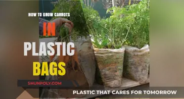 Growing Carrots in Plastic Bags: A Simple Urban Gardening Guide