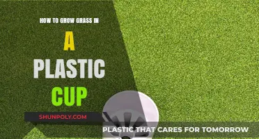 Green Thumb in a Cup: Growing Grass in Plastic Containers