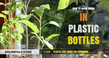 Eco-Friendly Herb Gardening: Growing Herbs in Plastic Bottles