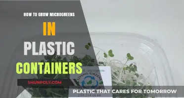 Grow Microgreens in Plastic Containers: A Step-by-Step Guide
