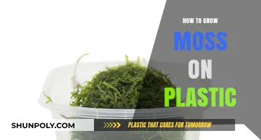 The Secret to Growing Moss on Plastic