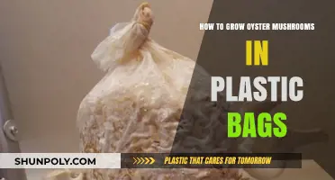 Easy Oyster Mushroom Cultivation: Growing in Plastic Bags at Home